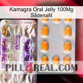 Kamagra Oral Jelly 100Mg Sildenafil new12